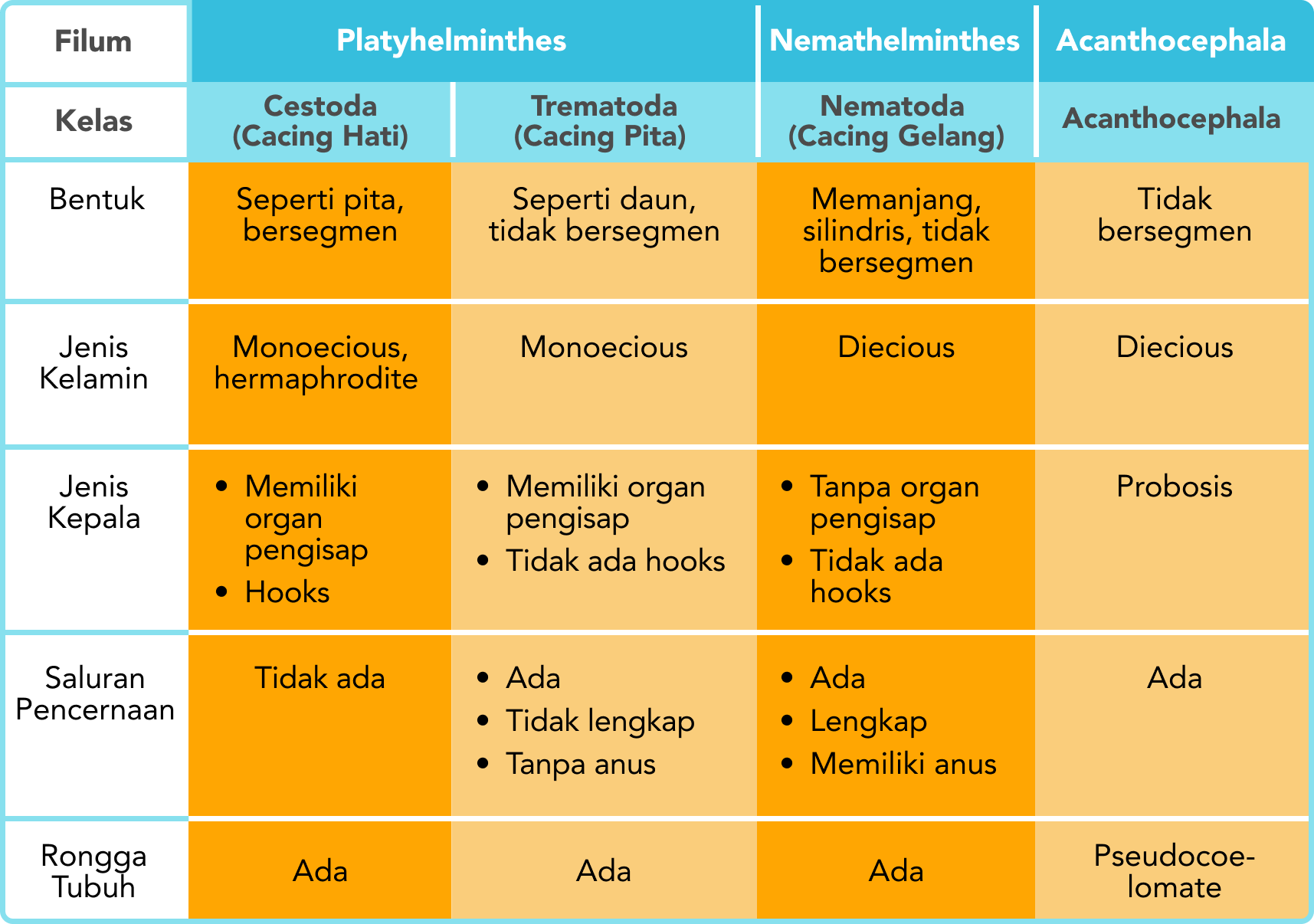 Klasifikasi definitif