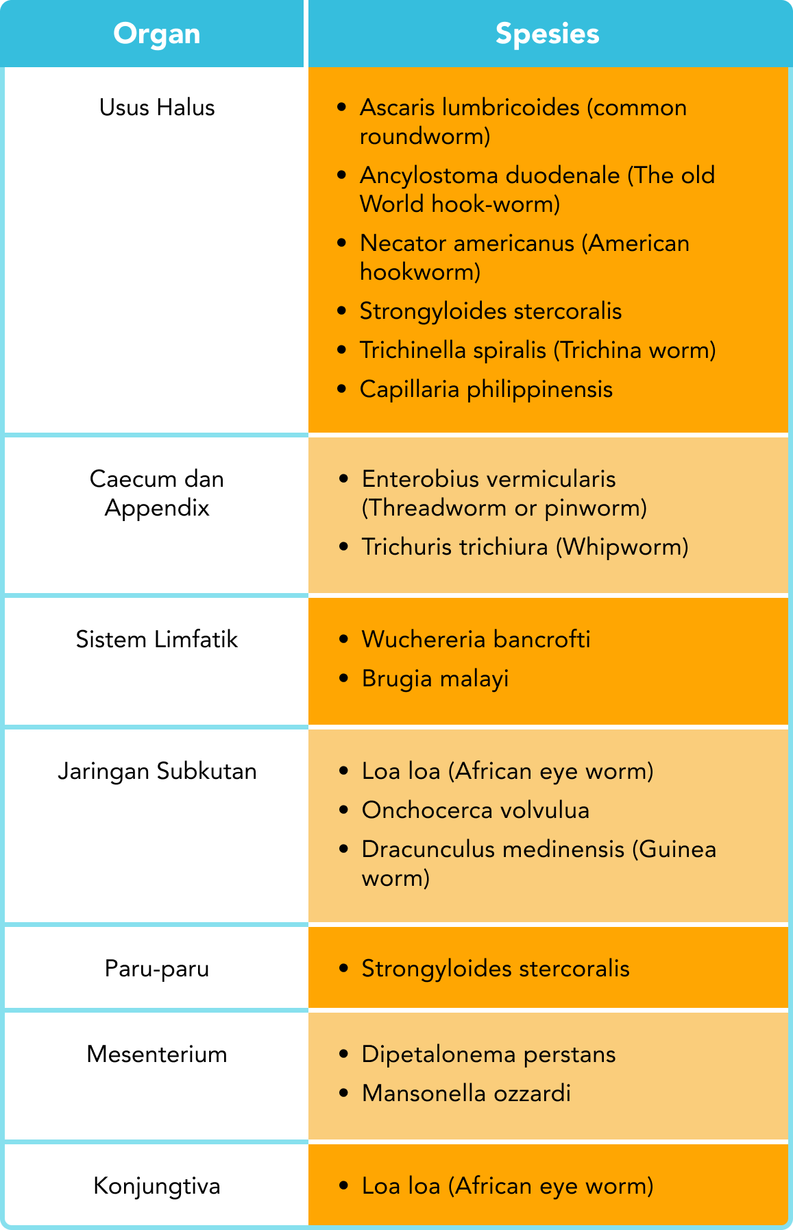 Klasifikasi nematoda