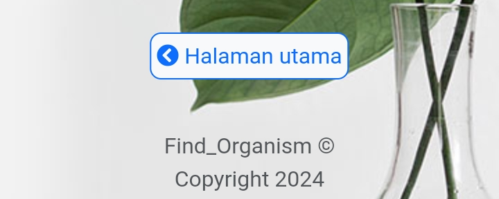 Kembali ke menu utama