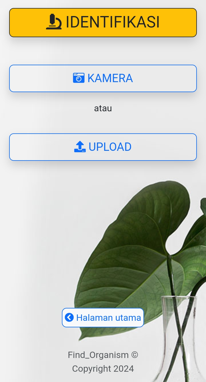 Halaman Identifikasi